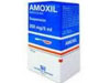 Buy Generic Amoxil (Amoxicillin)